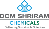 DCM Logo