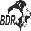 Partner Logo 4